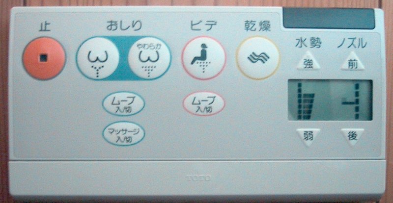 Japanese Squat Toilet